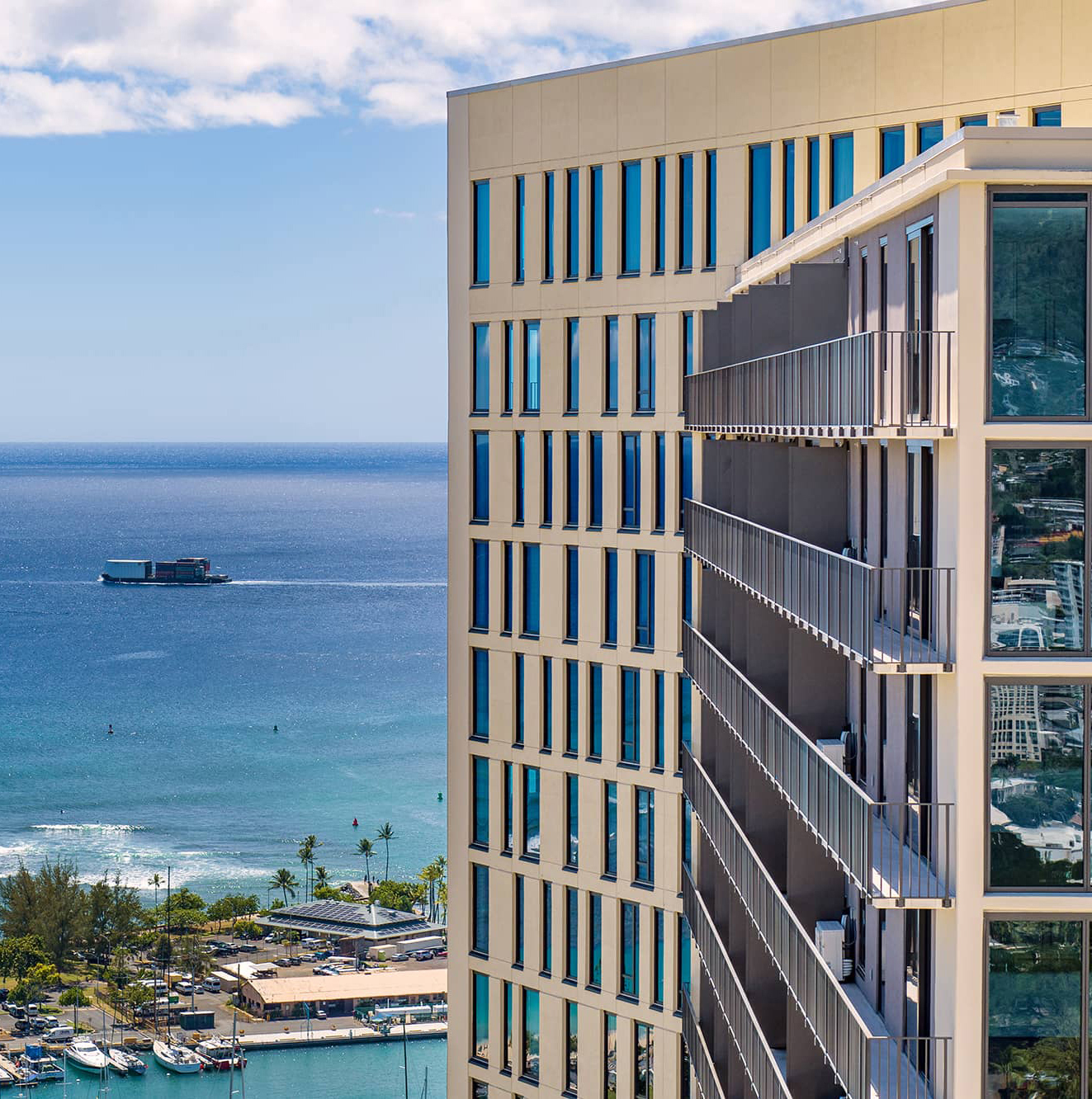 ‘A‘ali‘i Overlooking the Pacific Ocean